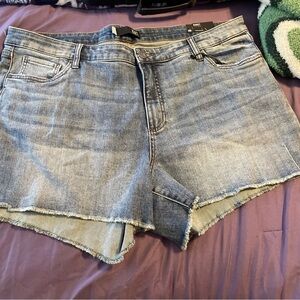NWT Kut From The Kloth Denim High‎ Rise Gidget Fray Short 20W Distressed Basic